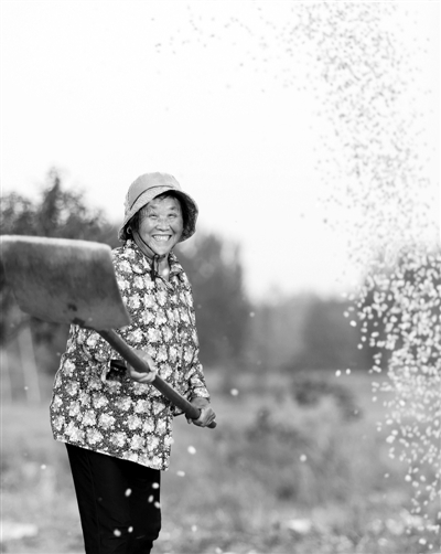 地方直播间|郯城县|高产年|郯城