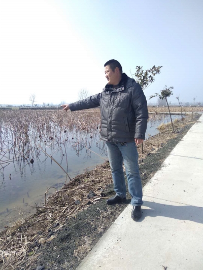 "昨日,宝应西安丰镇崔渡村藕农陈以兵说,全藕宴入镜舌尖上的中国,引起