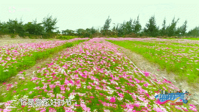 耿金芳原创诗作《草原牧歌》我的故乡系列诗作（十四）