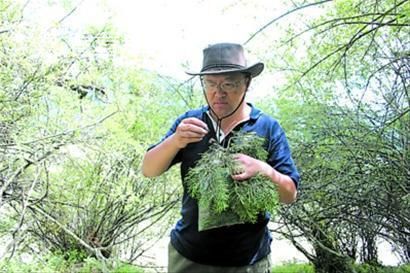 同济大学举行学习钟扬同志先进事迹座谈会|同