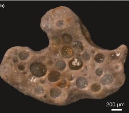 16亿年前的氧气气泡：困在粘性微生物垫内变成化石