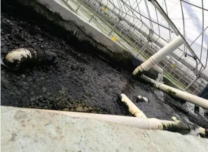 养鱼不换水、种菜不施肥，西安探索精准扶贫新模式