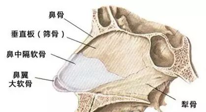 用途及优缺点