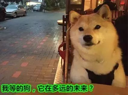 18岁以下禁入！桂林情趣主题酒店一览，情人节必备攻略！