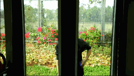 重磅 | 深圳无人驾驶公交开跑了！你敢来坐吗？