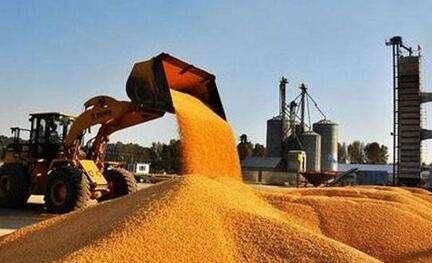 农民朋友请出手 冷空气刮来的好消息:玉米收购价格又涨了|玉米|港口|农户_新浪新闻