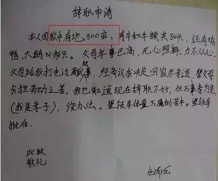 厦门85后高管辞职信爆火!人近中年,寻找最真