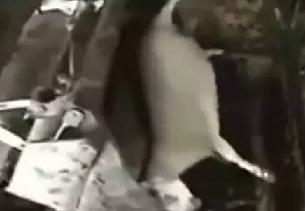 整人恶搞醉鬼视频,整人恶搞醉鬼视频在线观看