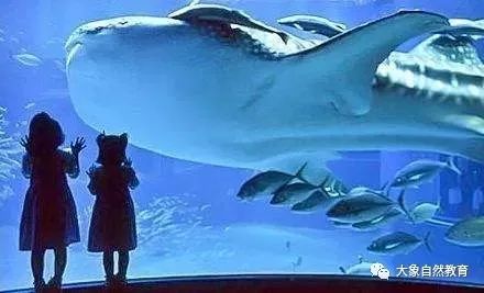 快,组团出发!云岭校园2018寒假活动招募啦! 博