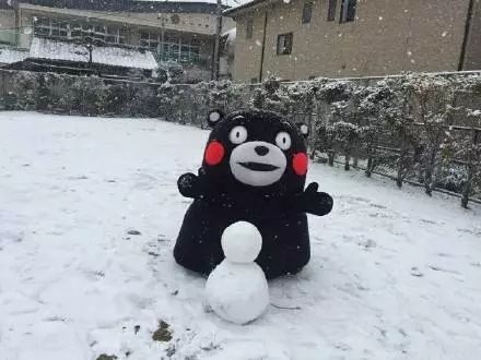 今日有雪,最低气温-9℃,大连开启 冰冻 模式!除