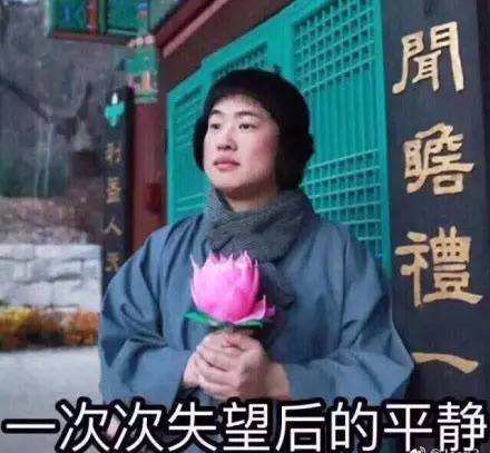 【in语角】佛系看看,走红猫咪图片搜索父女的表情包你是哪种佛系青年图片