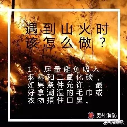 守山人免费观看 JXql-fypyuvc3049893.jpg