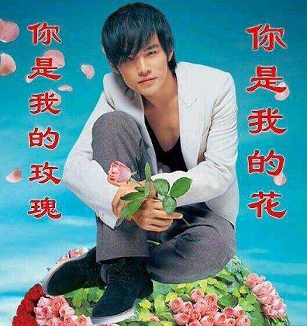 表情了解,追星一下1040搞笑图图片