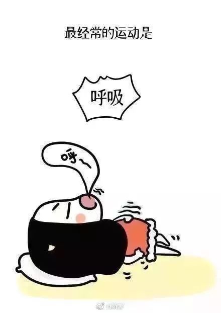 世界上最懒的生物是什么?大概是一种叫女朋友的