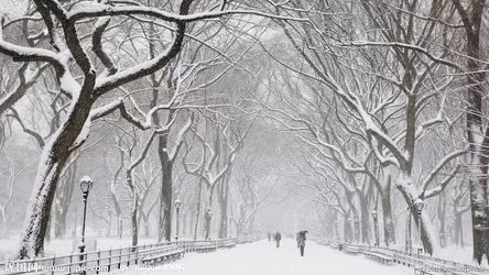 新年第一场雪明晚赶到济南!一周都将在雪中度