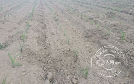 017年十大天气气候事件!|气候事件|平均气温|冰雹