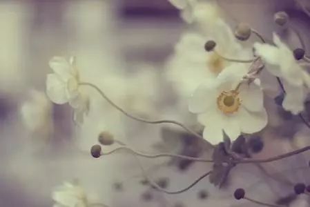 夜读丨最美的10种心态,所有人都要看看!|老年人