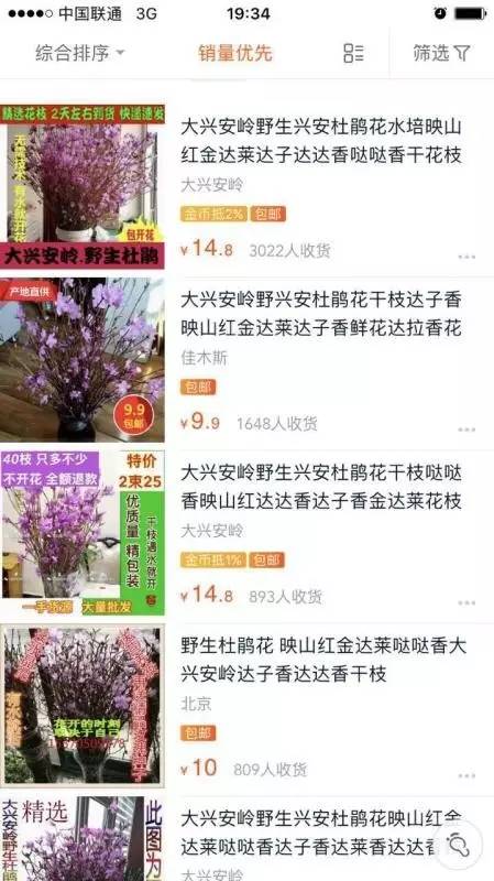 最近朋友圈刷屏的这种“神奇”枯树枝千万别再买了！
