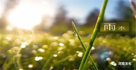 雨水过后天气暖,河南下周有望迎来20℃高温天