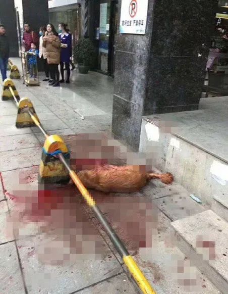 注意!2018春运首日火车票今起开抢 | 夫妻考公