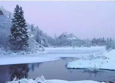 诗词日历丨天将暮,雪乱舞,半梅花半飘柳絮|日历