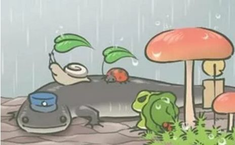 自从养了这只蛙，好像理解了爸妈……每天都在问“儿子啥时候回家”……