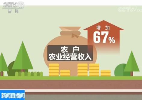 主要看气质_农民收入主要来源(2)