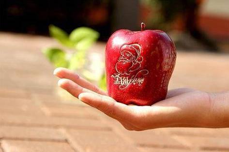 中国人为什么要过圣诞节?这些冷知识刷新三观