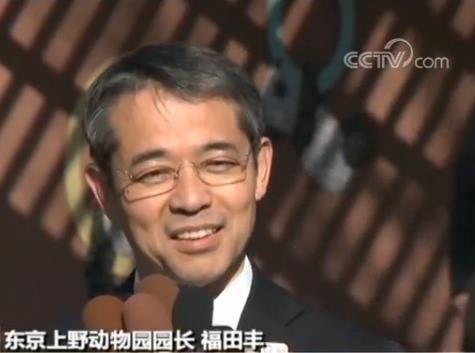 大熊猫 香香 将与日本公众见面 人气旺游客参观