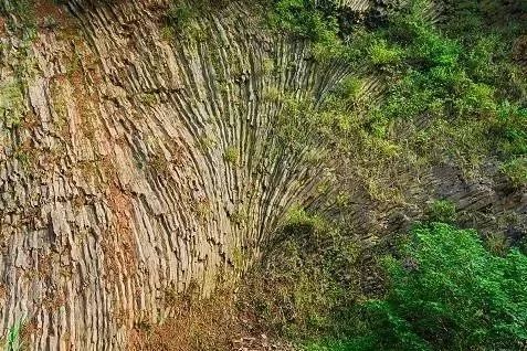 最新!3月起,南京46家景点免费开放日陆续到来!快收藏!