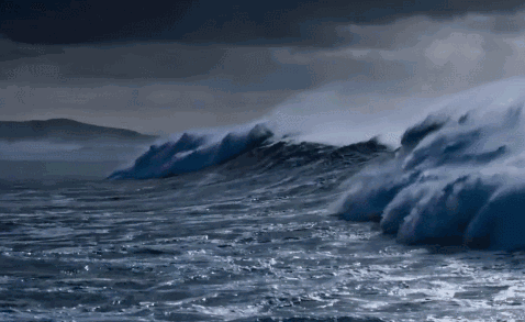 如果今年只陪孩子看一部纪录片一定是这部99分的科普神剧