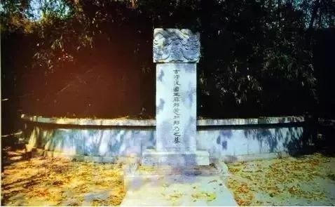 最新!3月起,南京46家景点免费开放日陆续到来!快收藏!