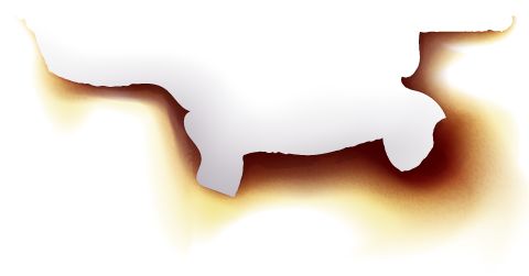 这片河山盛开着最美的花朵,她们的名字叫革命