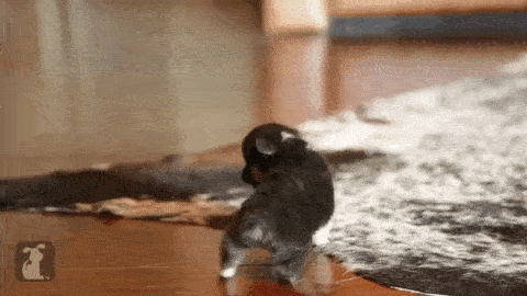 打喷嚏的后坐力有点大