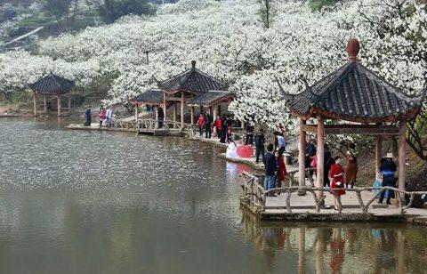 新京报谈文化和旅游部:打通保护与开发的任督二脉