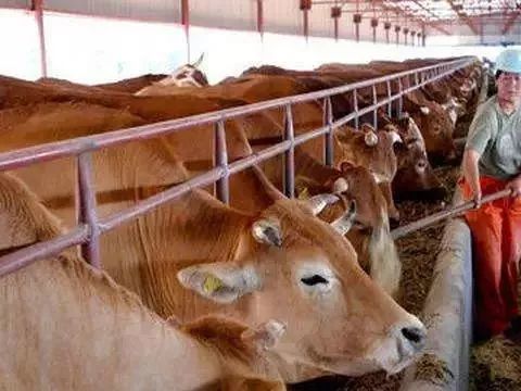 重磅!江西村干部可转编公务员!2018年将发展9