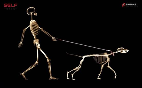 页面 变脸 的背后,隐藏着这么多红外热像知识|运