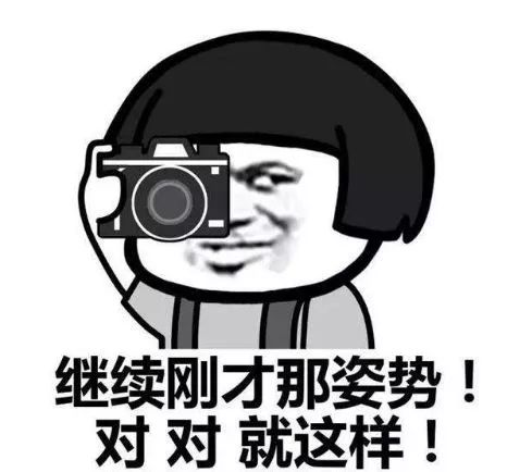 比大黄鸭还高的汪星人来袭！行花街走大运 ︱最全迎春攻略