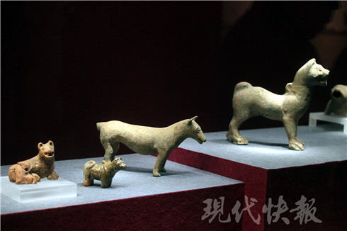 快来南博看藏犬文物特展!5000年前的陶屋上就