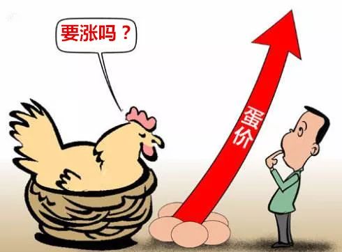 2018年鸡蛋价格是涨是跌?这里有答案!|农产品