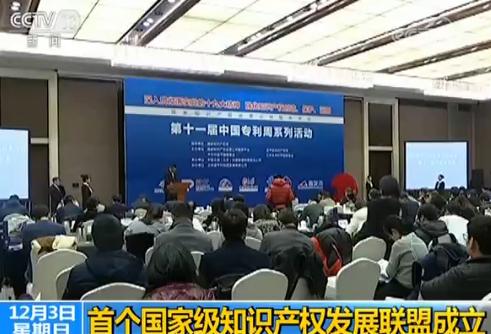 首个国家级知识产权发展联盟成立 专注知识产