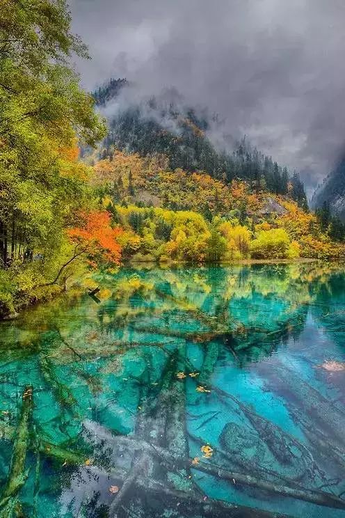 四川九寨沟撤县设市重要进展:州委同意报请审