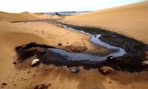 宁夏腾格里沙漠环境污染案列入 2017年推动法
