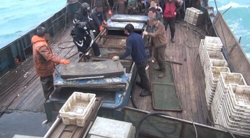 环球网:韩国再次扣押2艘中国渔船 上午已扣2艘