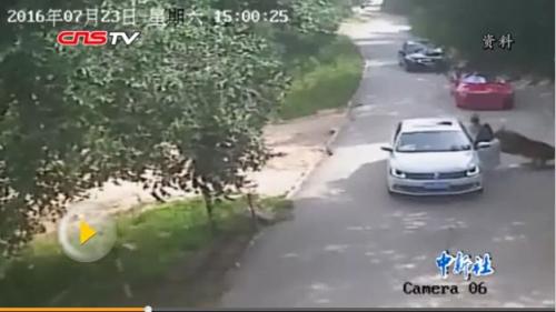 图片来源:视频截图