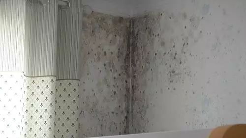 焦点丨银川阳光美林业主质疑房子质量,墙皮脱