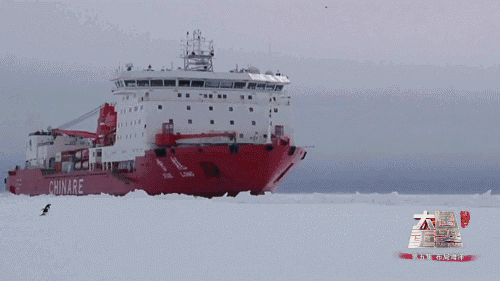 重器：出入北极的大力神——系列极地冰区模块运输船