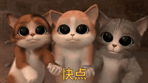 你是喜欢丝袜或是袜子?我全都要!