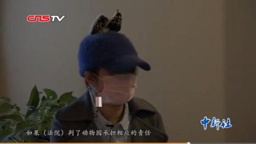 图片来源:视频截图