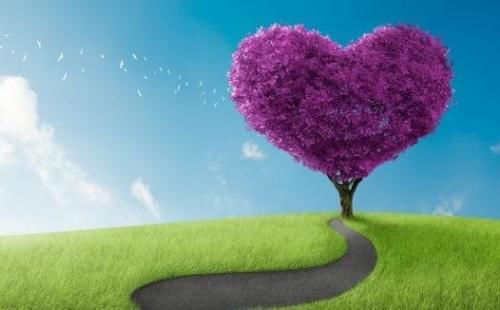 民族学子的“夏爸爸”